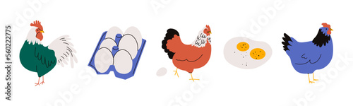 Chicken with eggs. Cartoon hen rooster box fried eggs, farm poultry characters, eco Easter organic concept. Vector set