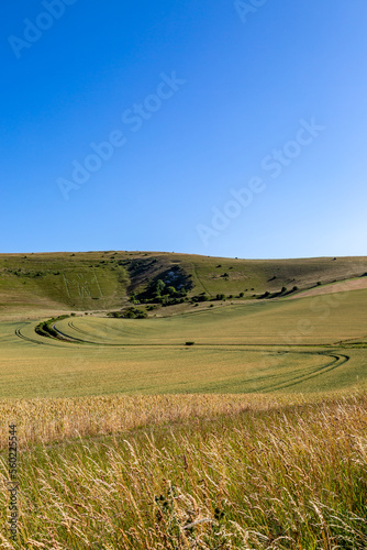 A sunny day in the South Downs with a view towards Windover Hill and The Long Man of Wilmington