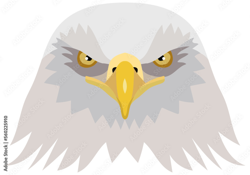 Obraz premium Vector illustration of the head of an American bald eagle. foreground. Vector graphics isolated on white background
