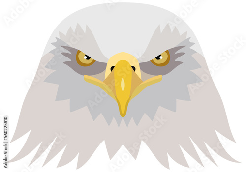 Vector illustration of the head of an American bald eagle. foreground. Vector graphics isolated on white background