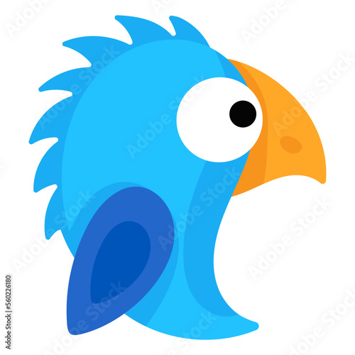Hyacinth Macaw