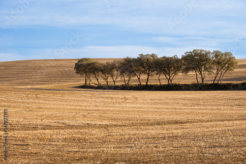 Agricultural landscape in the province of Lleida in Catalonia Spain photo