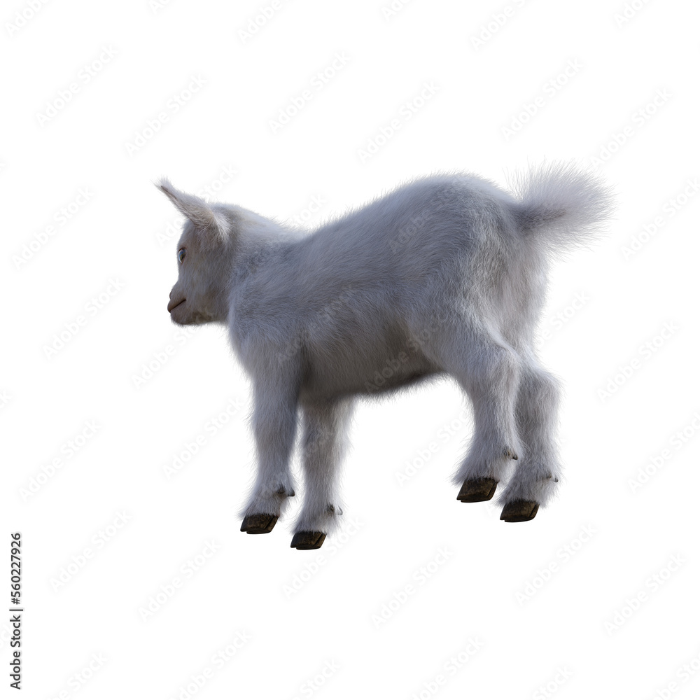 Goat baby character on transparent background. 3d rendering illustration for collage, clipart, composting. Goat baby character on transparent background. 3d rendering illustration for collage, clipart, composting.