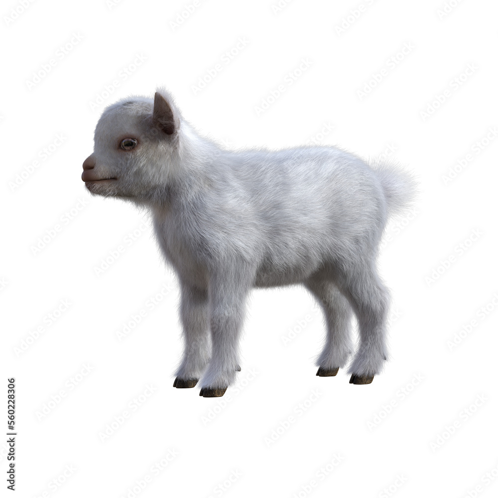 Obraz premium Goat baby character on transparent background. 3d rendering illustration for collage, clipart, composting.