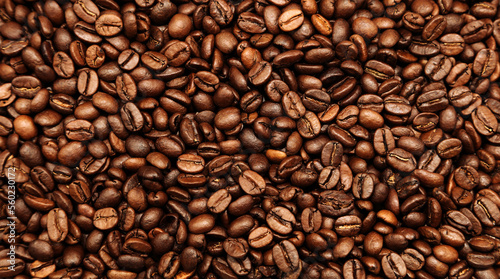 Roasted coffee beans