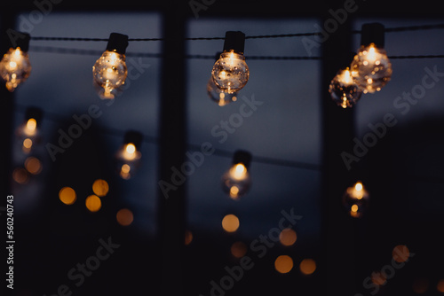 Photographie Guirlande d'ampoules led pour éclairer la fête