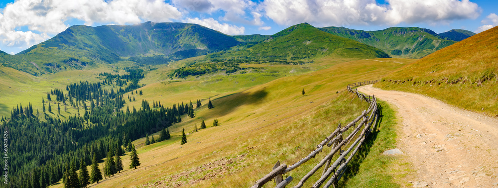 Picturesque mountain panorama in a hot summer day, fluffy clouds in the sky, spruce trees growing on slopes, country road leads to beautiful meadows and valleys under the high mountains background