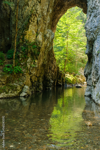 A mountain stream flowing through a canyon narrowed by vertical stone walls. The sharp  rocky cliffs of Ramet Gorges or Cheile Rametului   Romania  during summer season in a sunny day. Natural tunnel