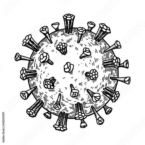 Hand drawn measles virus isolated on white background. Realistic detailed scientifical vector illustration in sketch stile