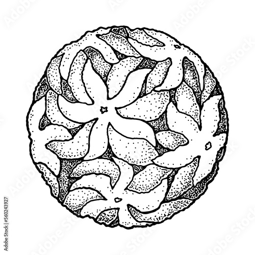 Hand drawn zika virus isolated on white background. Realistic detailed scientifical vector illustration in sketch stile