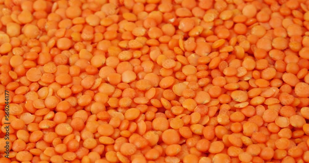 Red Lentils with Rotating Effect. Slow Motion Rotation Red Lentils Macro Shot. Vegetarian Healthy Organic Food Diet. Cereals and Legumes Red Lentils with Rotating Effect. Slow Motion Rotation Red Lentils Macro Shot. Vegetarian Healthy Organic Food Diet. Cereals and Legumes