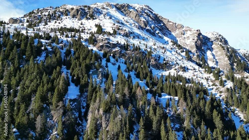 Aerial shot of a snowy mountain in Trentino Alto Adige (northern Italy) with a clear sky. Nature in winter with snow trees and sunshine leading to warmer than usual winter temperatures.