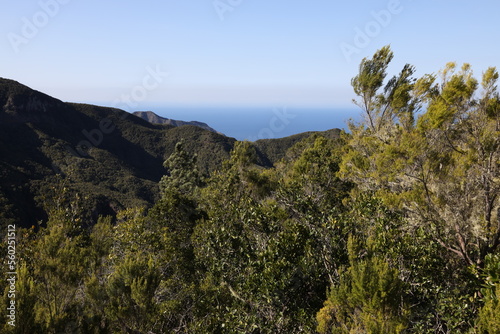Wanderung im Tenno Gebierge auf Teneriffa