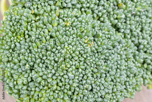 Texture of fresh broccoli vegetables. Macro photography.
