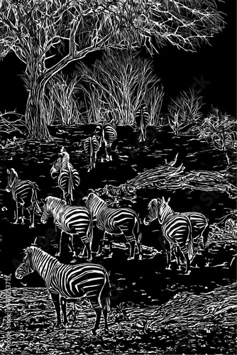 acstract low key illustration of an african landscape with zebras and trees at night  in monochrome photo