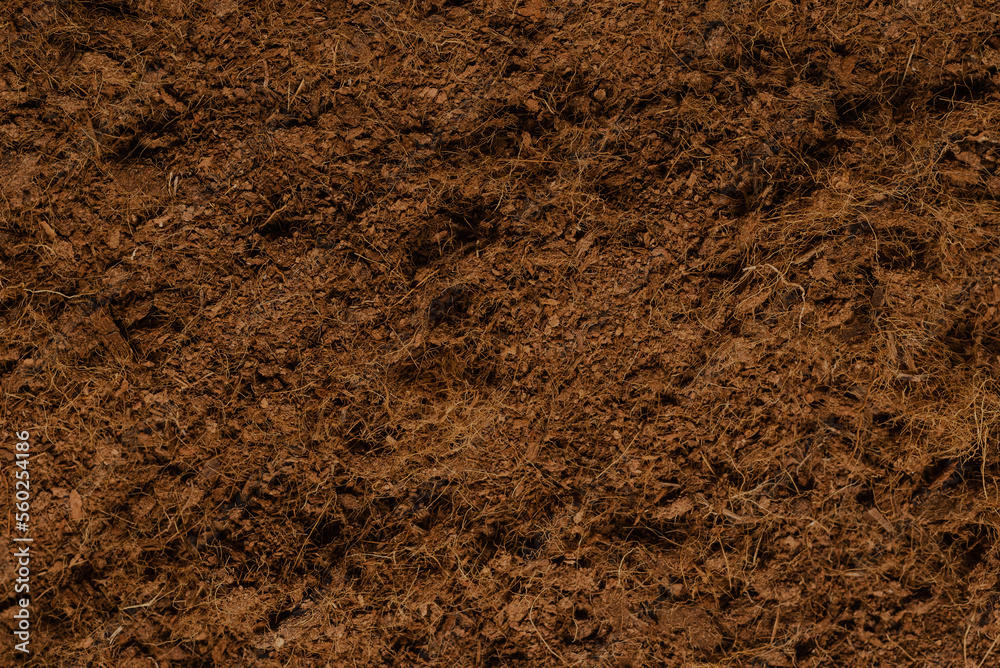 Coconut substrate background. Coconut substrate background.