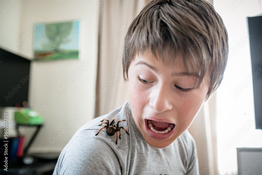 boy yells when he sees a terrible spider on shoulder. brave boy plays ...