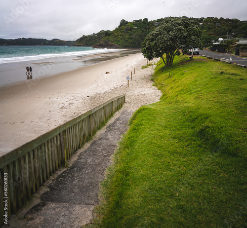 Beach in the Waiheke Island...