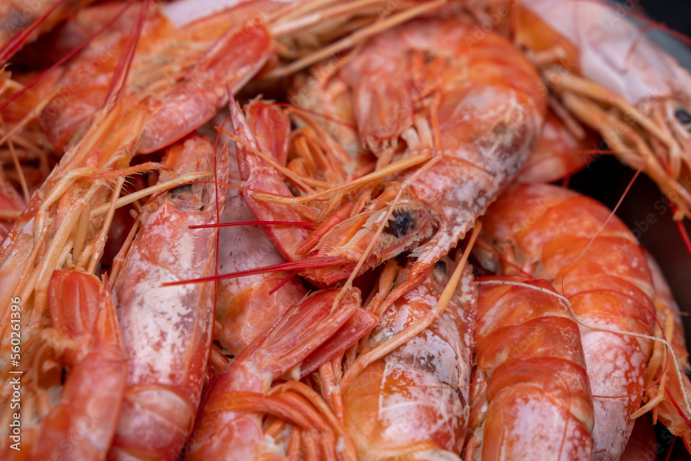 Selective focus, Shrimps background texture. ready-to-eat cooked shrimps Selective focus, Shrimps background texture. ready-to-eat cooked shrimps