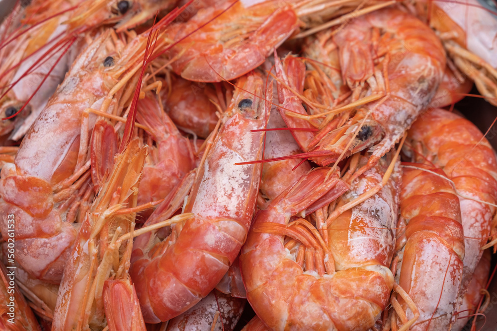 Selective focus, Shrimps background texture. A lot of shrimps. Cooked shrimps. Selective focus, Shrimps background texture. A lot of shrimps. Cooked shrimps.