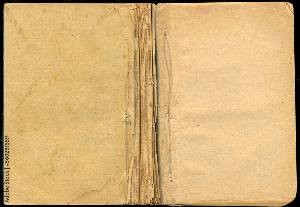 Old clear pages from vintage book