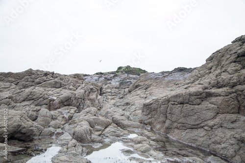 rocks by the sea