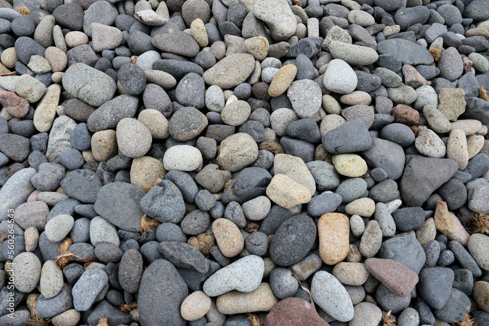 Rock textures and boulders on the shore Rock textures and boulders on the shore