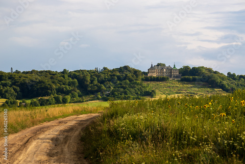 Pidhirtsi Castle, stands on top of a hill photo