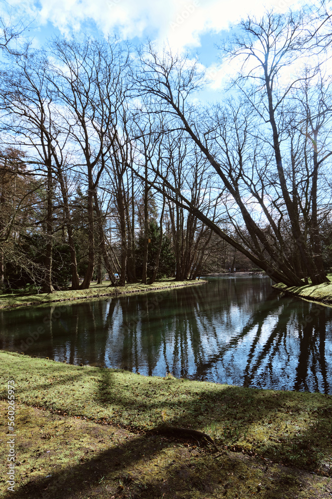 Obraz premium Beautiful scenic road in the park on a spring sunny day