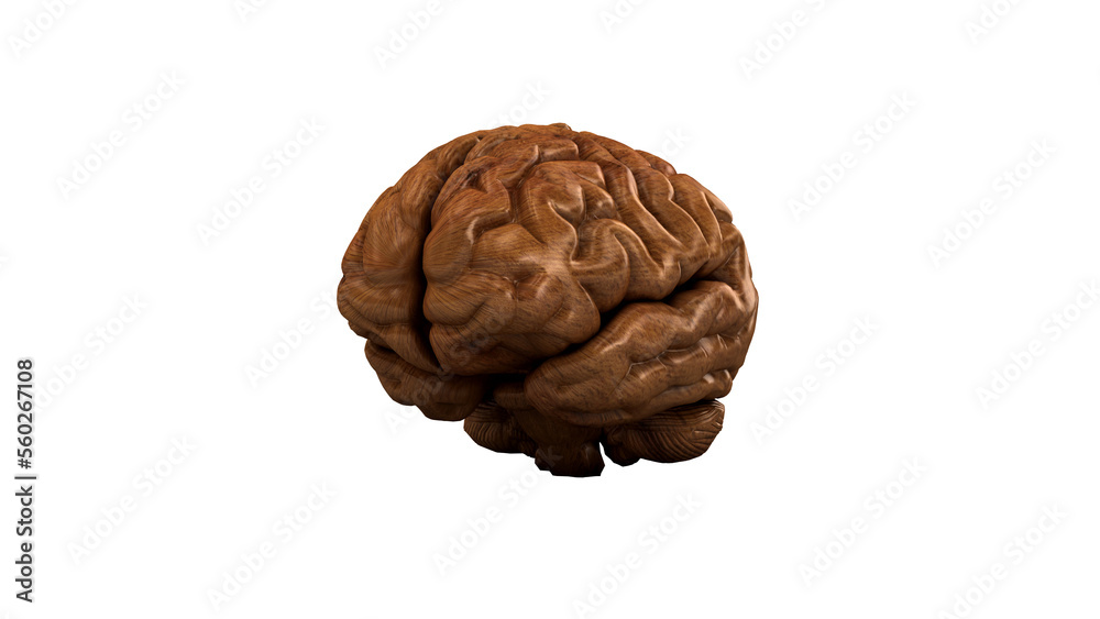 Wooden brain. Wood Brain. 3D rendering Wooden brain. Wood Brain. 3D rendering
