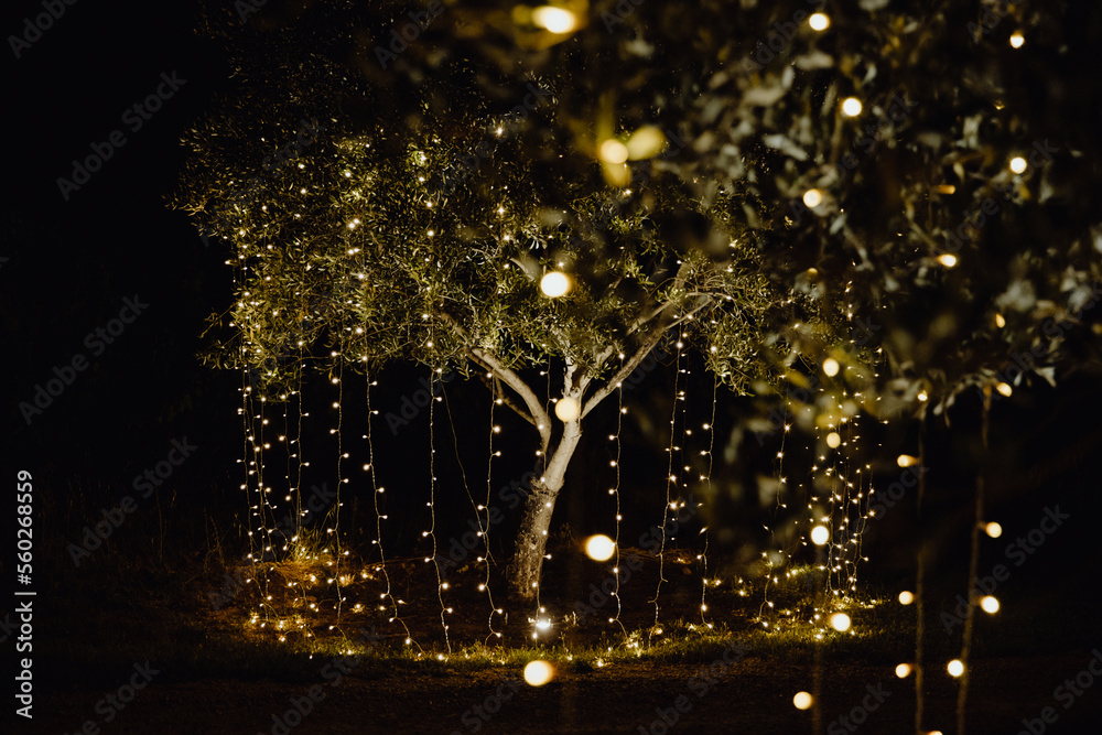 Arbres du jardin décorés de guirlandes lumineuse dans la nuit - obrazy, fototapety, plakaty 