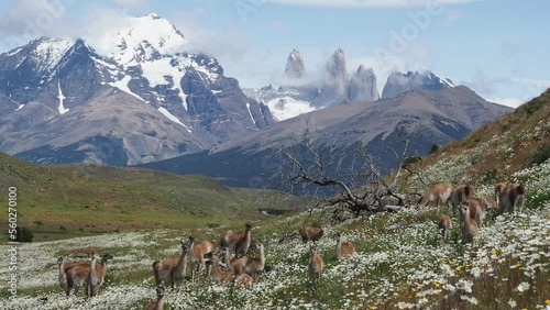landscape in the mountains Patagonia