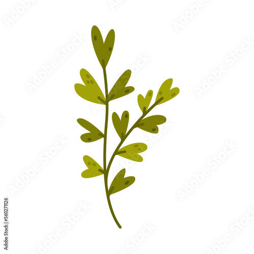 Floral Twig with Green Leaves as Cute Foliage Vector Illustration