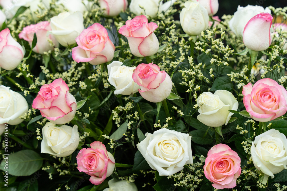 A bunch of white and pink roses that can be used in multiple ceremonies.