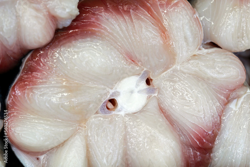 Closeup of shark steak exposed at the open air fish market on the coast of Guaruja, Sao Paulo state, Brazil