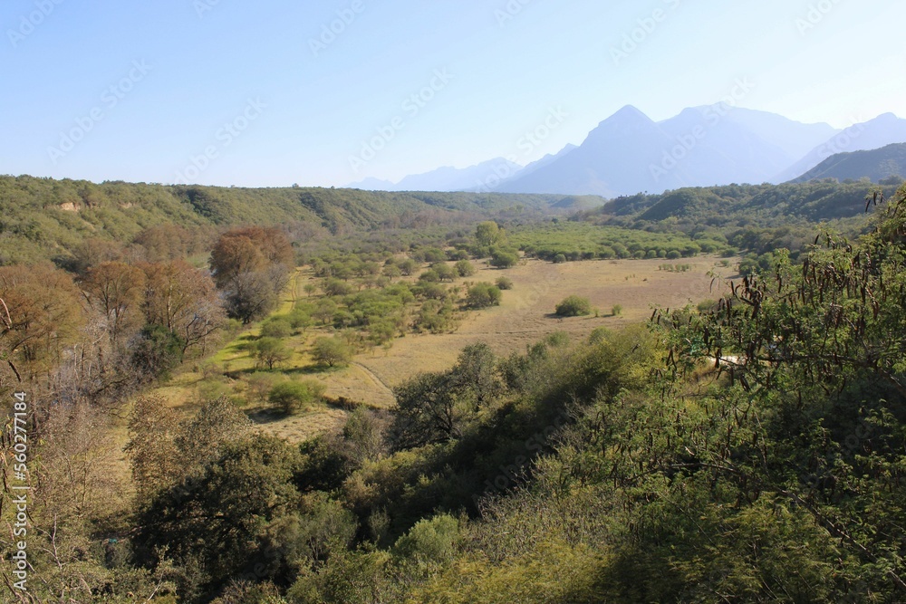 Obraz premium landscape in autumn