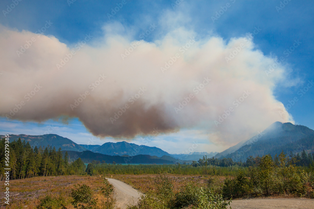 Harrison West forest fire, Fraser Valley, British Columbia, Canada Harrison West forest fire, Fraser Valley, British Columbia, Canada