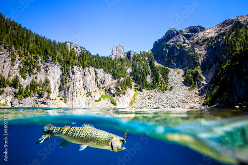 Alpine Lakes fishing photo