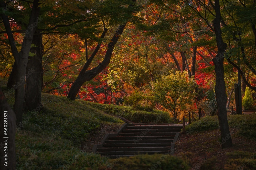This image shows a scenic park landscape in autumn.