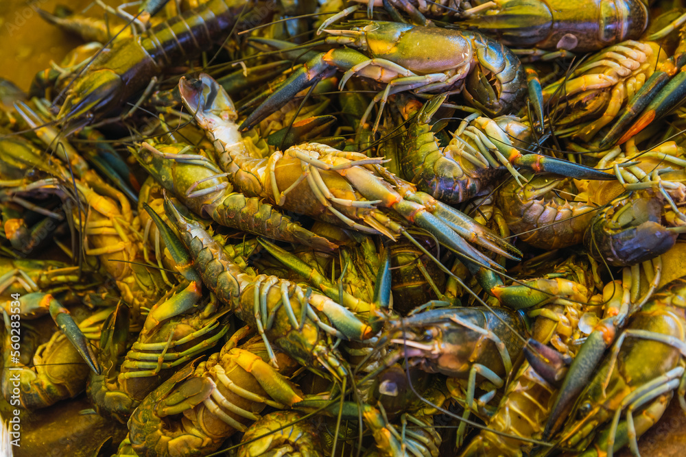 River prawns sold in a typical Mexican street market called tianguis.