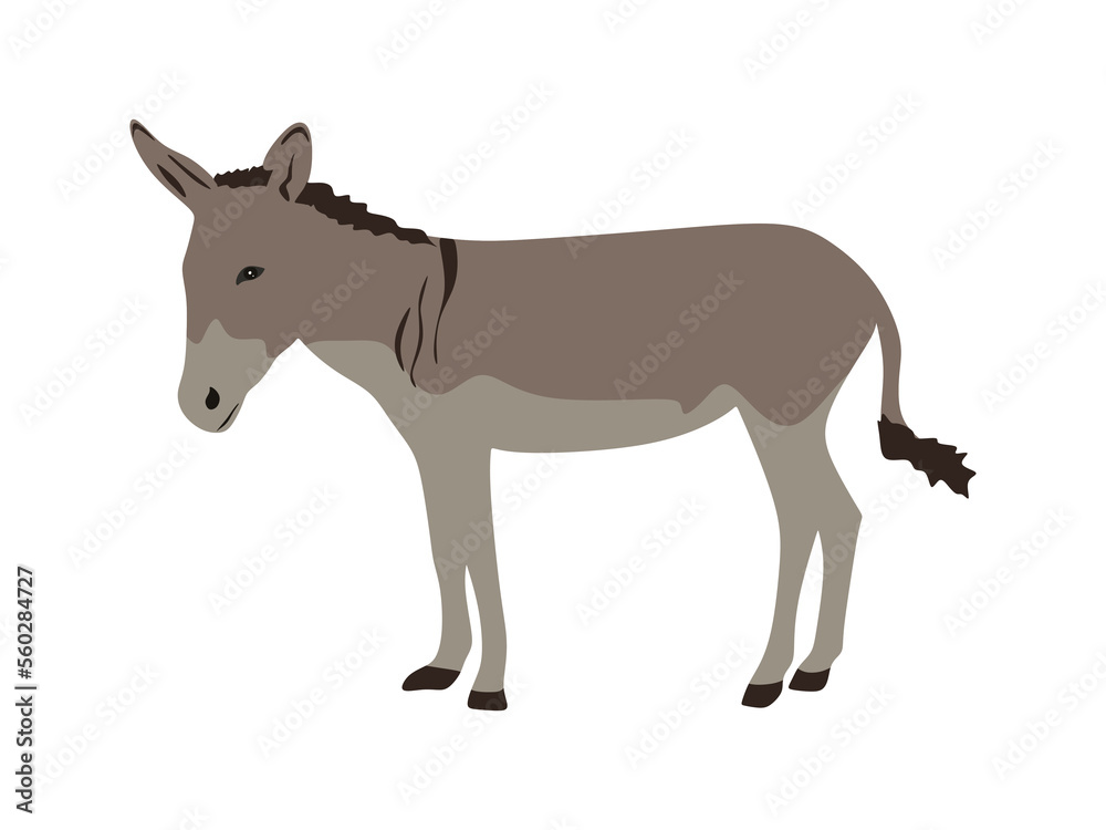 Donkey illustration flat style. Donkey cartoon isolated on white background. Donkey silhouette vector illustration