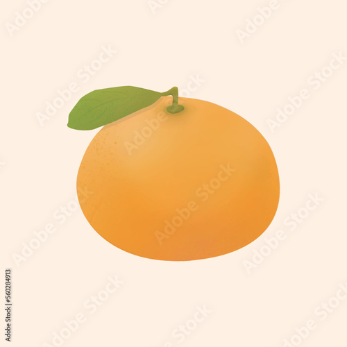 Whole orange or tangerine with green leaf vector illustration on white background. Orange is a healthy fruit.