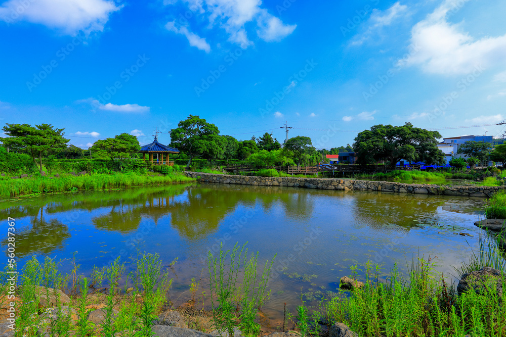 대한민국 제주도에 있는 모산이 연못이라 부르는 연못의 아름다운 풍경이다.