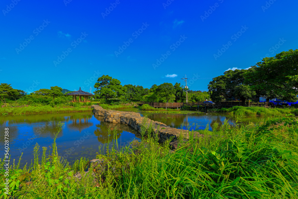 대한민국 제주도에 있는 모산이 연못이라 부르는 연못의 아름다운 풍경이다.