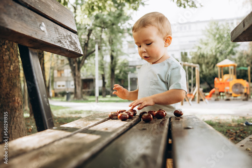 a child plays on a wooden bench with chestnuts