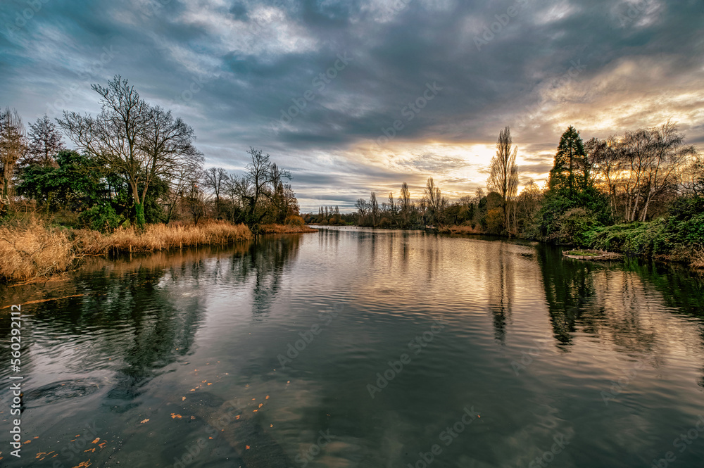 Fototapeta premium lake in the park