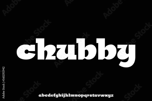 chubby and playful slab serif display font vector