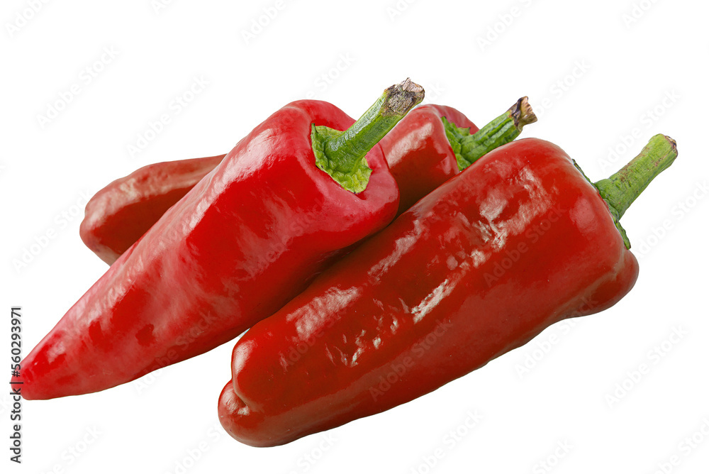 red chili isolated png