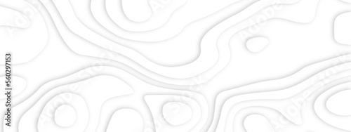 Abstract white paper cut shapes background with shadow and topography map concept, texture. Abstract realistic Papercut decoration background. Abstract papercut wavy line background.