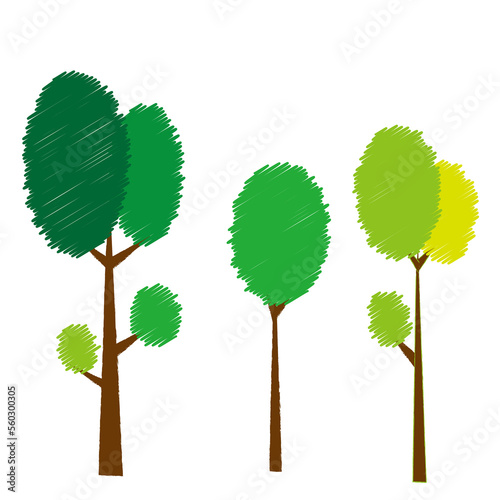 nature tree plant greensky outdoor sunsun light